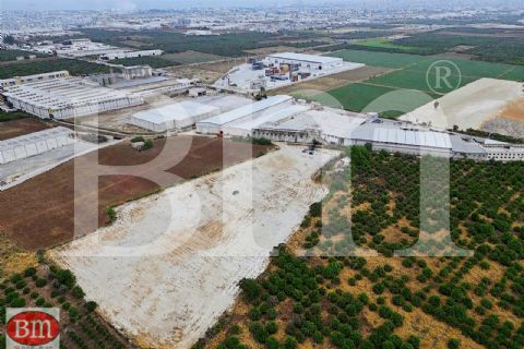 bm'den kiralık bekirde'de 20.500m2 soğuk hava depo ruhsatlı arsa