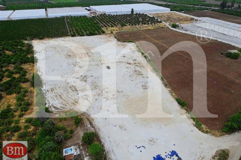 bm'den kiralık bekirde'de 20.500m2 soğuk hava depo ruhsatlı arsa