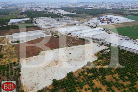 bm'den kiralık bekirde'de 20.500m2 soğuk hava depo ruhsatlı arsa