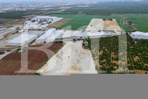 bm'den kiralık bekirde'de 20.500m2 soğuk hava depo ruhsatlı arsa